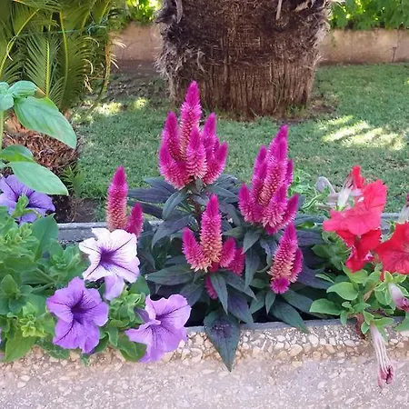 Quattromulini Noto