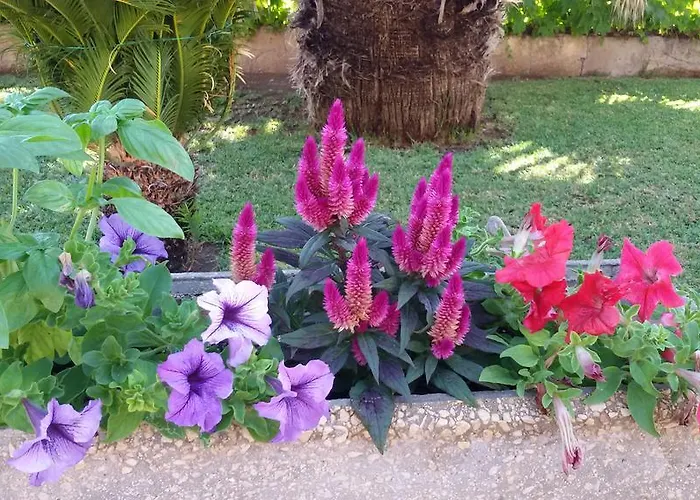 Quattromulini Noto
